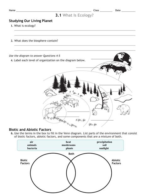 level of ecological organization worksheet